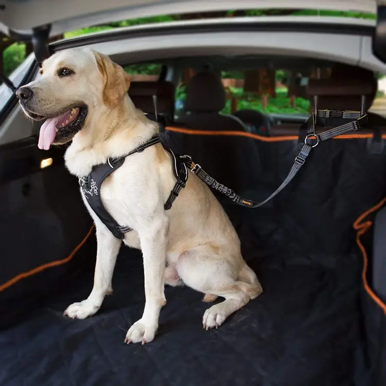 Factory Price Dog Car Boot Mat Manufacturing for Pet 6