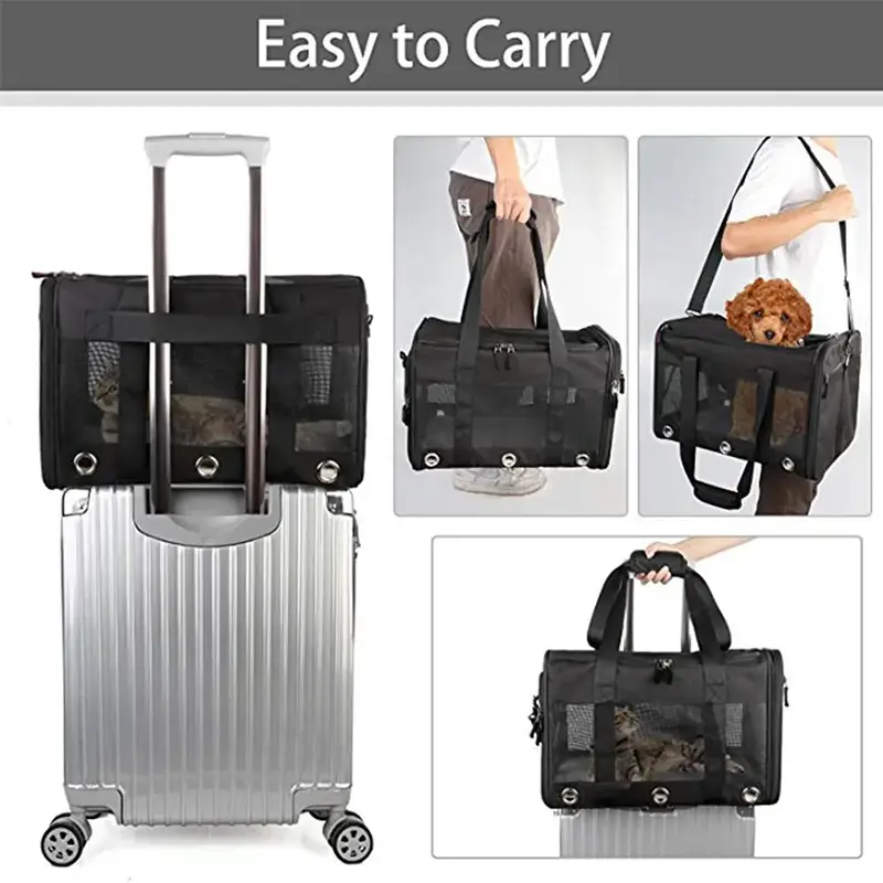 High Quality Outdoor Pet Accessories From China for Cat 5