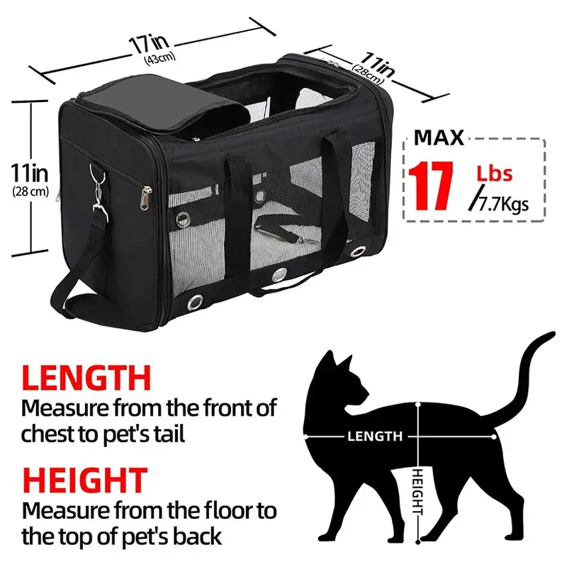 High Quality Outdoor Pet Accessories From China for Cat 3