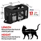 High Quality Outdoor Pet Accessories From China for Cat 3