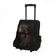 Quality Dog Travel Bag for Pet 5