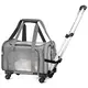 Long Lasting Pet Travel Carrier for Cat 1