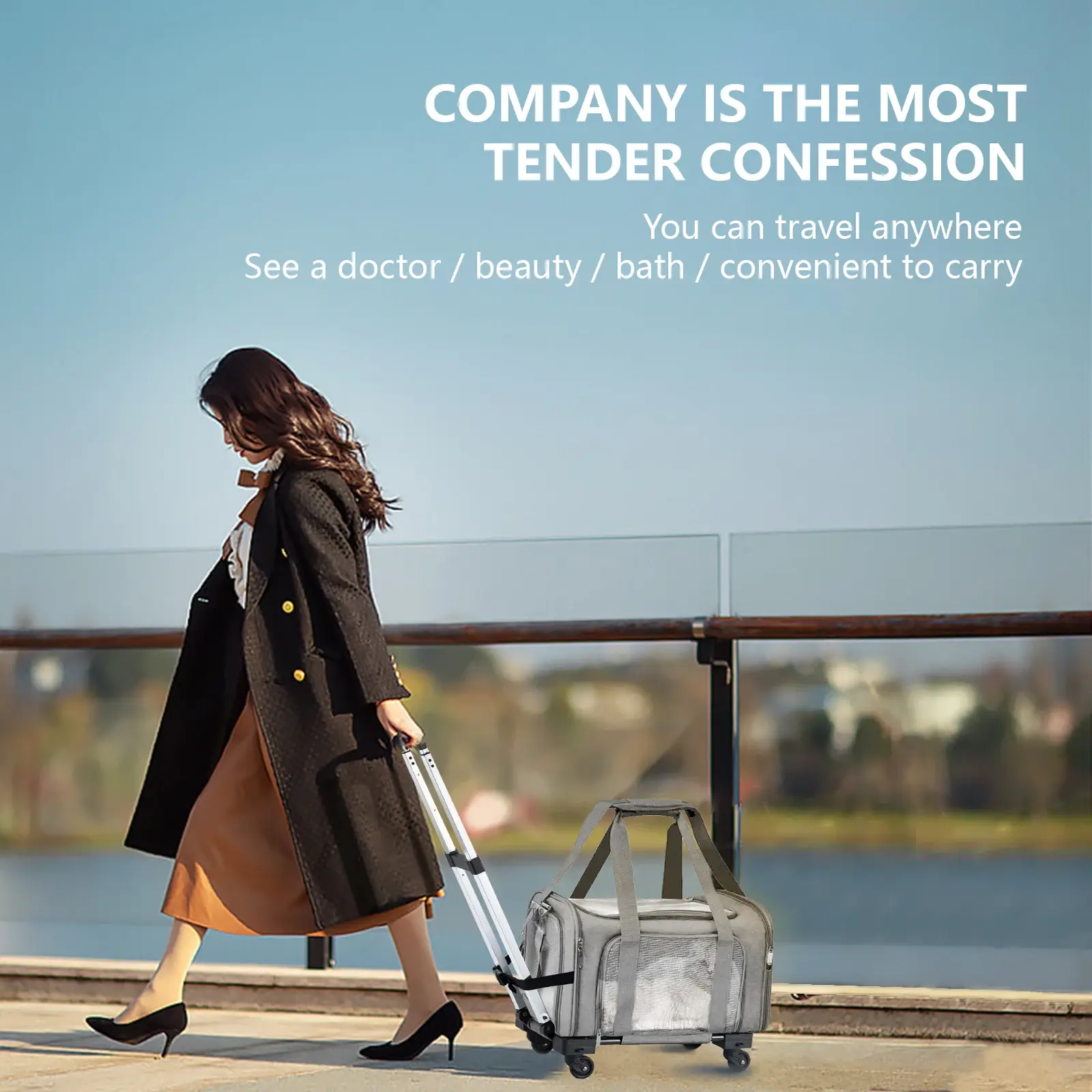 Long Lasting Pet Travel Carrier for Cat 3