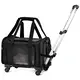 Long Lasting Pet Travel Carrier for Cat 6