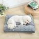 Pet Trolley Bag Sanan - for Pet - Sanan Pet 5