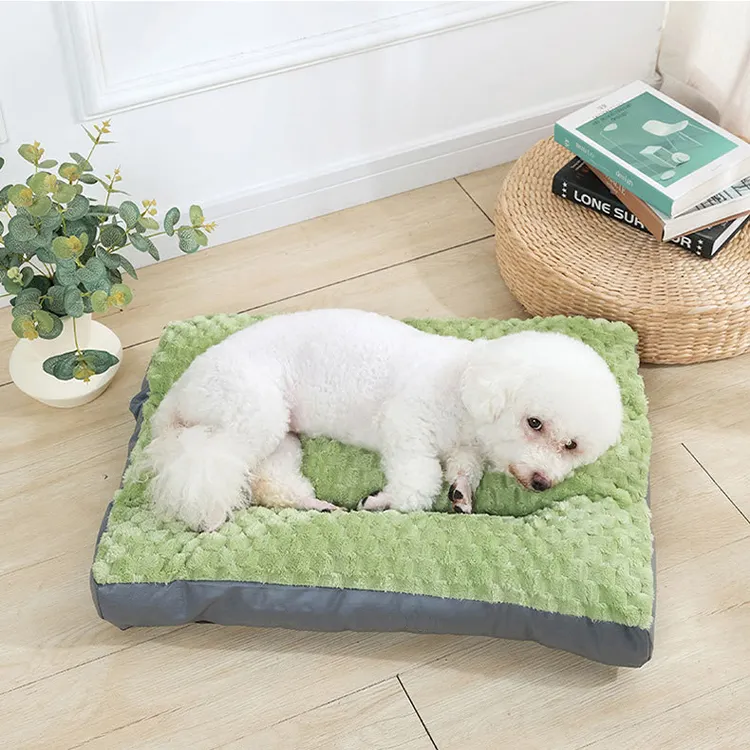 Pet Trolley Bag Sanan - for Pet - Sanan Pet 4