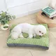 Pet Trolley Bag Sanan - for Pet - Sanan Pet 4