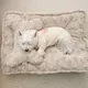 Fine Quality Orthopedic Pet Bed Supply for Dog 5