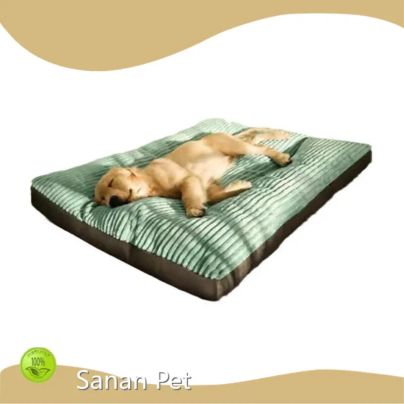 Good Selling Dog Travel Equipment for Cat 1