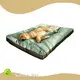 Good Selling Dog Travel Equipment for Cat 1