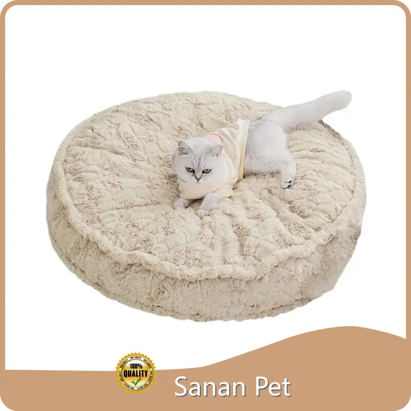 Custom Pet Carrier for Pet 1