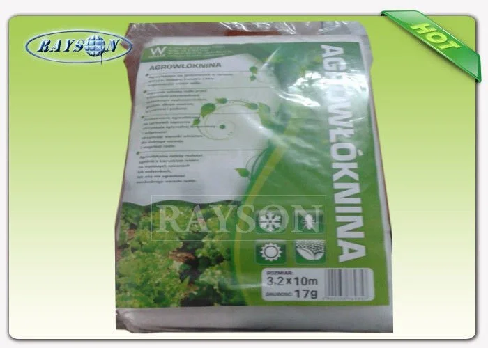 White Color PP Nonwoven Fabric for Reducing Pest And Diseases Of The Tree 1
