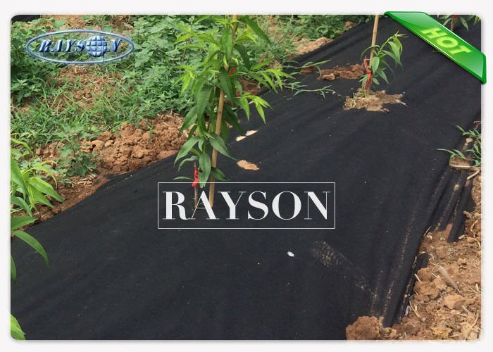 ground control fabric sgs for root control bags Rayson Non Woven Fabric 2