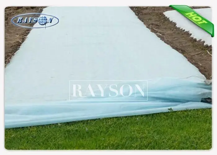 year geotextile membrane price series for seed blankets Rayson Non Woven Fabric 2
