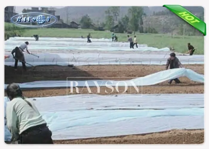 High Strength Frost Protection Fleece Anti UV Laying Weed Control Fabric 30g To 60gsm 4