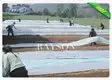 High Strength Frost Protection Fleece Anti UV Laying Weed Control Fabric 30g To 60gsm 4