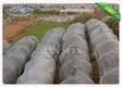 Rayson Non Woven Fabric high quality ground cover weed control seasame for root control bags 2