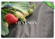 landscape fabric stakes dark for seed blankets Rayson Non Woven Fabric 2