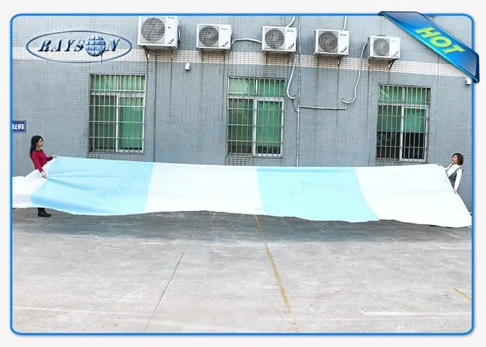 Rayson Non Woven Fabric online porous weed control fabric supplier for seed blankets 2