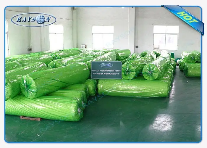 Rayson Non Woven Fabric online porous weed control fabric supplier for seed blankets 3
