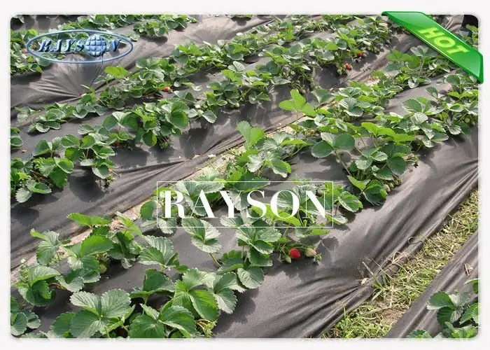 Rayson Non Woven Fabric high quality garden liner to prevent weeds width for root control bags 2