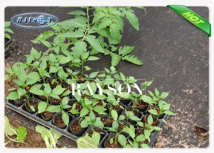 customized landscape fabric under gravel supplier for ground cover 2