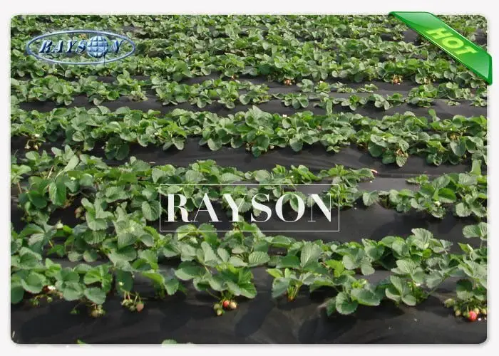 weed control material protection for root control bags Rayson Non Woven Fabric 3