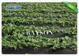 weed control material protection for root control bags Rayson Non Woven Fabric 3