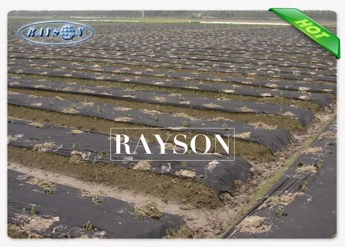 show black weed control fabric lanscaping for ground cover Rayson Non Woven Fabric 2