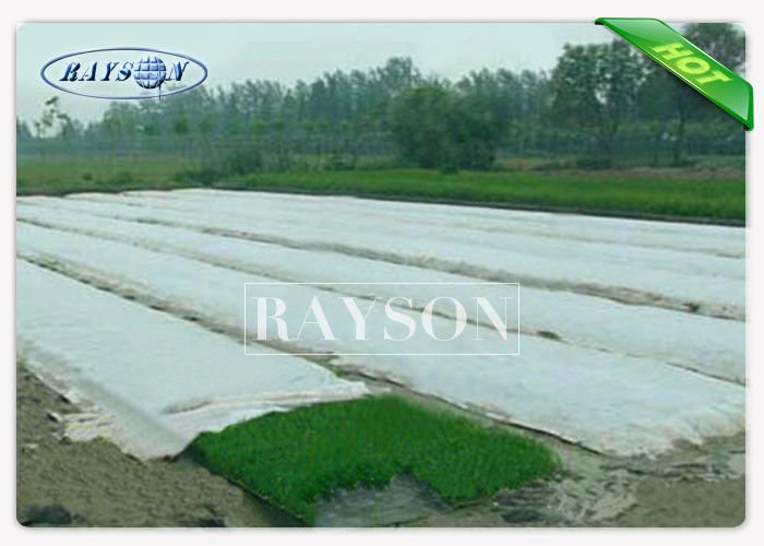 Rayson Non Woven Fabric anti uv landscape fabric for sale supplier for root control bags 2