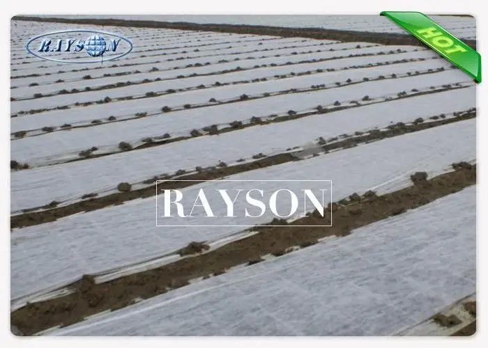 mesh for landscaping technology for ground cover Rayson Non Woven Fabric 2