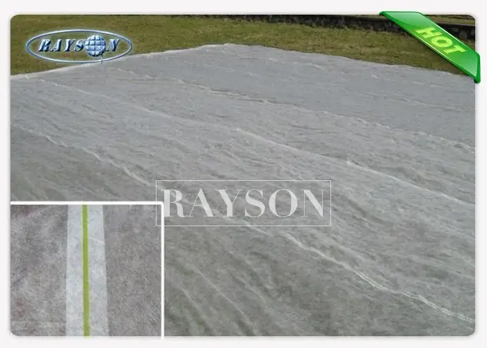 40gsm best landscape fabric to use sgs for root control bags Rayson Non Woven Fabric 3