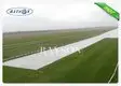 Agriculture Winter Frost Protection Fabric Spunbond Air Prmeable Non Woven / Spunbonded Technics 2