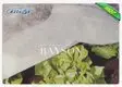 virgin bulk landscape fabric series for root control bags 3