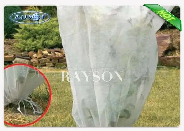 50 gsm UV 3% Polypropylene Frost Protection Fleece , Biodegradable Garden Fleece Bags 2