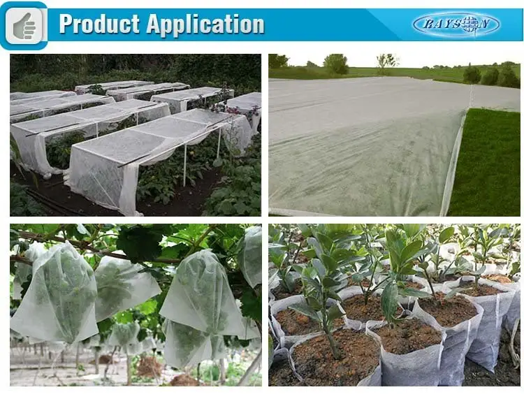 Rayson Non Woven Fabric high quality wide weed control fabric woven for root control bags 2