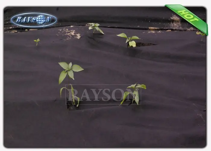 green weed control fabric horticulture for seed blankets Rayson Non Woven Fabric 2