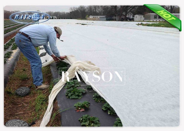 large plant membrane wholesale for root control bags Rayson Non Woven Fabric 2
