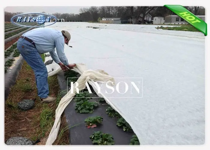 Rayson Non Woven Fabric large premium landscape fabric wholesale for seed blankets 3