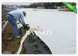 Rayson Non Woven Fabric large premium landscape fabric wholesale for seed blankets 3