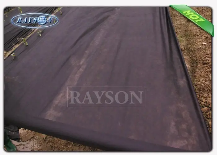 Rayson Non Woven Fabric low landscape matting wholesale for ground cover 2