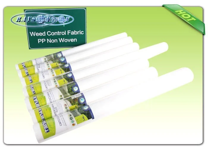 Chemical free and light weight 60gram pp non woven weed barrier fabric with UV treated1 1
