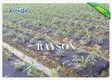 Rayson Non Woven Fabric high quality preen landscape fabric matting for ground cover 3