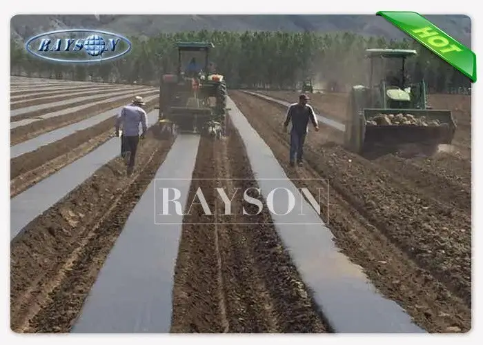 Rayson Non Woven Fabric high quality preen landscape fabric matting for ground cover 4