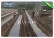 Rayson Non Woven Fabric high quality preen landscape fabric matting for ground cover 4