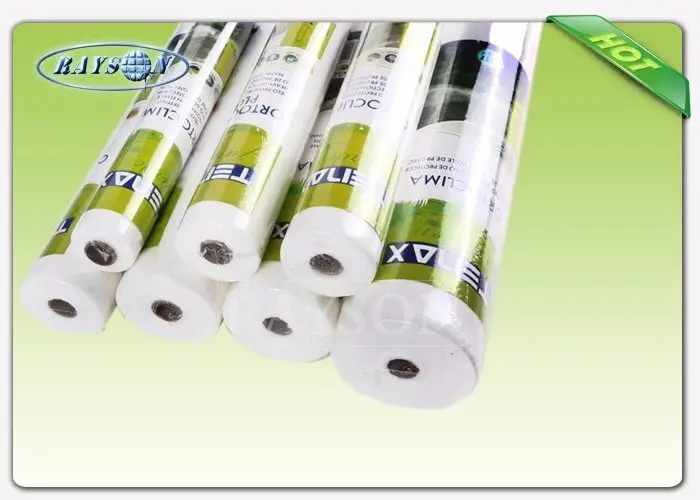 Rayson Non Woven Fabric online landscape membrane manufacturer for seed blankets 2
