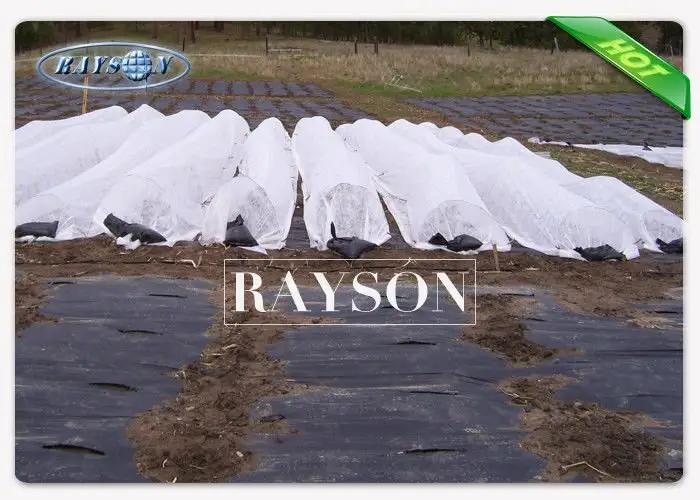 weed control liner test for root control bags Rayson Non Woven Fabric 5