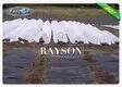 weed control liner test for root control bags Rayson Non Woven Fabric 5