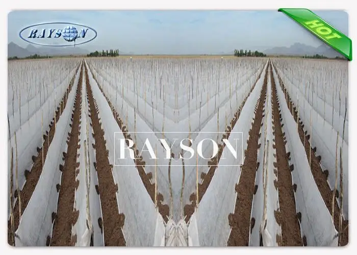 weed control liner test for root control bags Rayson Non Woven Fabric 4
