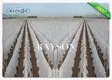 weed control liner test for root control bags Rayson Non Woven Fabric 4